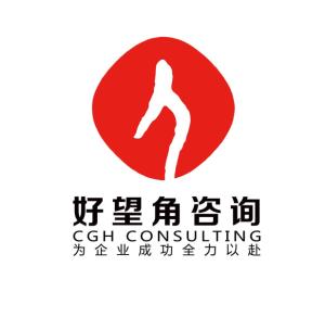 長沙市好望角企業管理咨詢 企業營銷策劃的專業指南